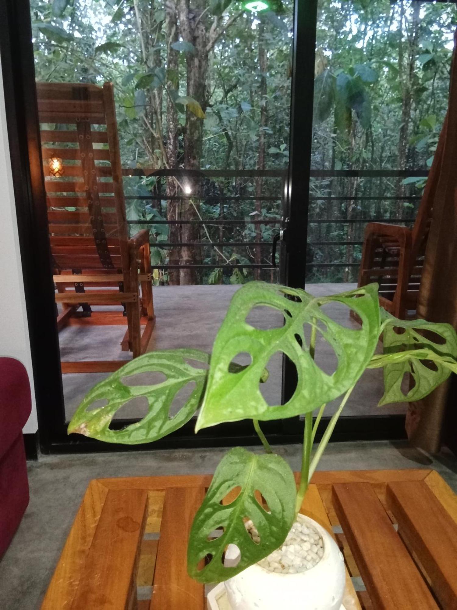 达瓦拉维 翠景旅行度假旅馆酒店 外观 照片